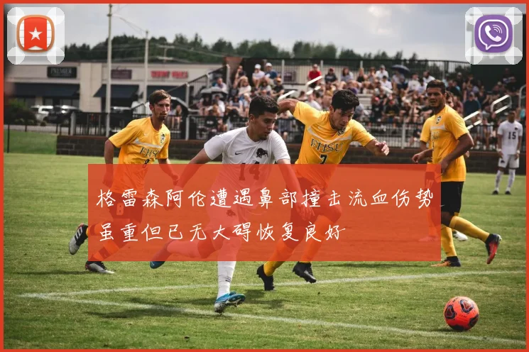 格雷森阿伦遭遇鼻部撞击流血伤势虽重但已无大碍恢复良好